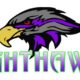 NightHawk 12u Softball 2018!