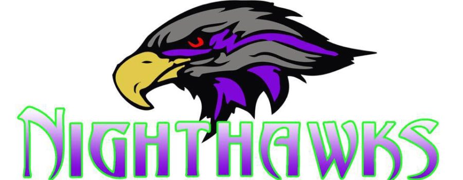 NightHawk 12u Softball 2018!