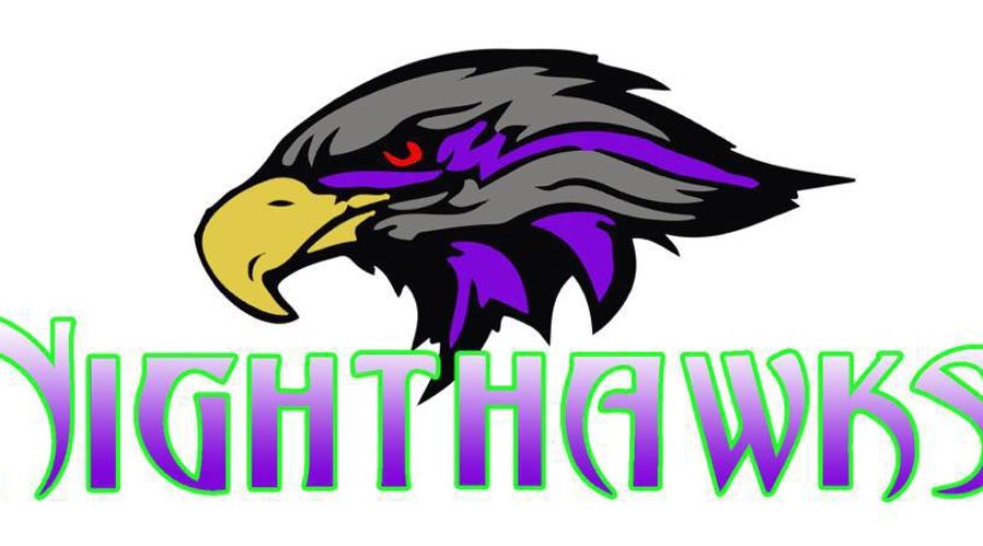 NightHawk 12u Softball 2018!